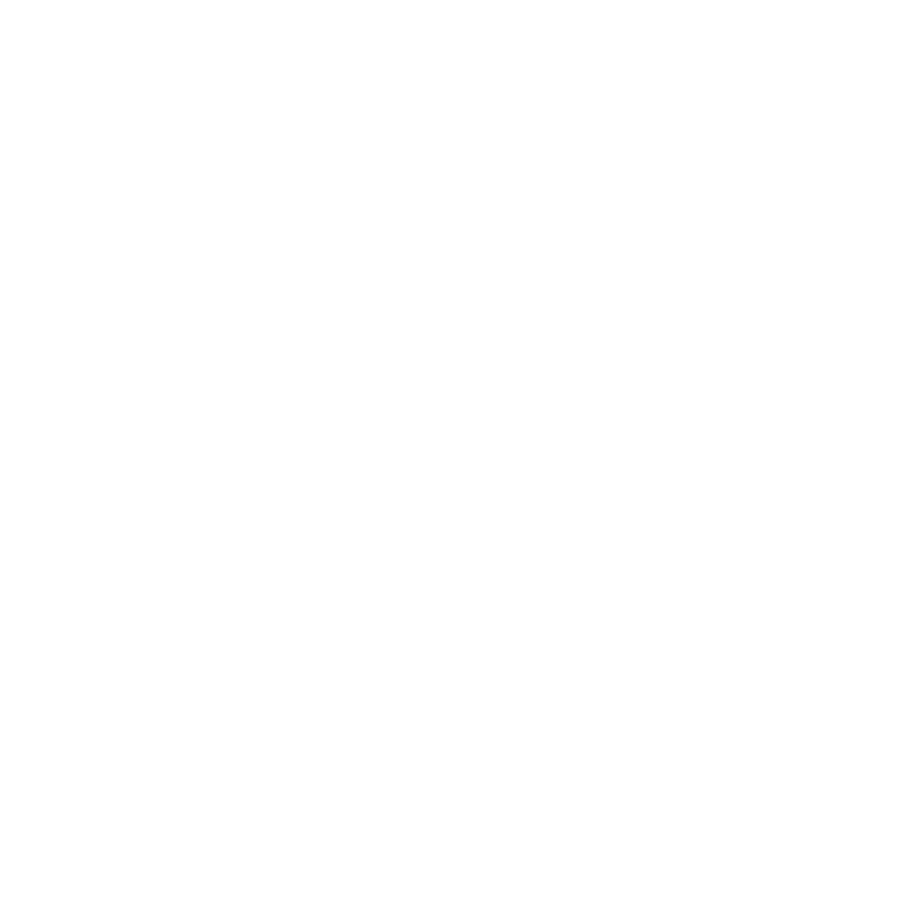 mapa-icon