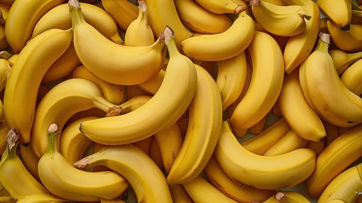 Imagem totalmente preenchida com bananas sem manchas na casca, configurando beleza e atratividade