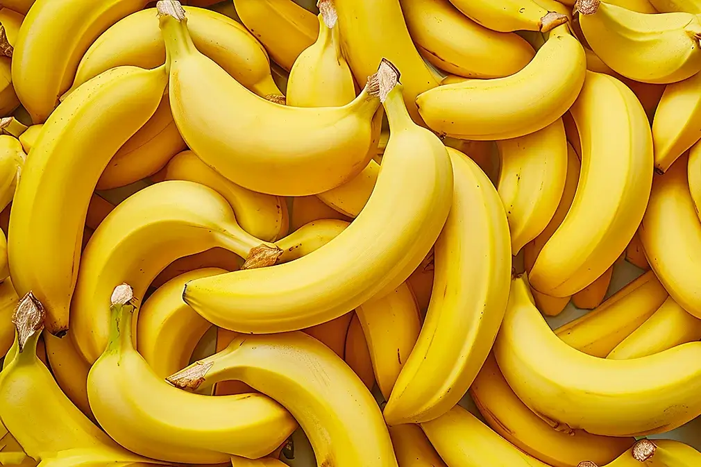 Imagem totalmente preenchida com bananas sem manchas na casca, configurando beleza e atratividade