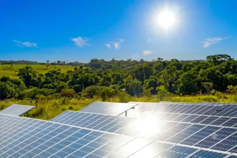 Painéis solares captando energia do sol